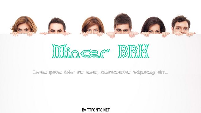 Mincer BRK example